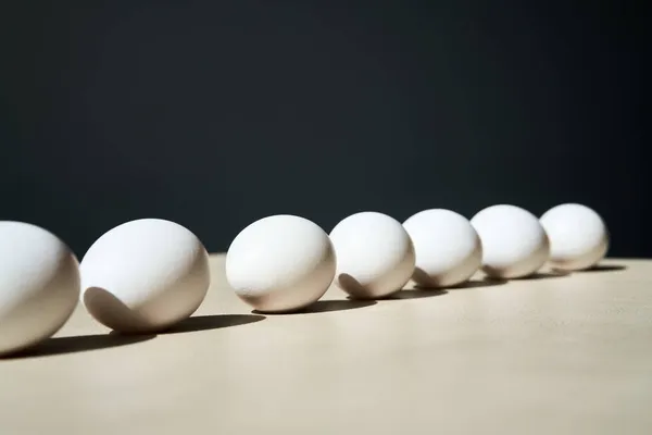 Huevos blancos en línea con el espacio de copia, concepto de minimalismo —  Fotos de Stock