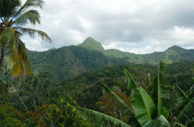 Saint Lucia, Karayip Adaları 'ndaki dağlarla ve sık ormanlarla dolu bir manzara..
