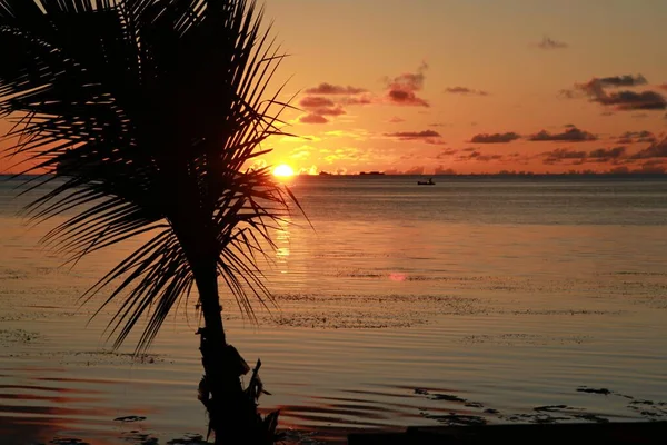 Tropische Eiland Zonsondergang Foto Met Een Silhouet Van Een Jonge — Stockfoto