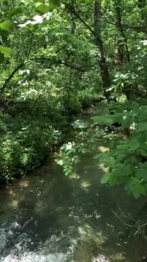 Nehirde akan suyun aşağı doğru dikey görüntüsü