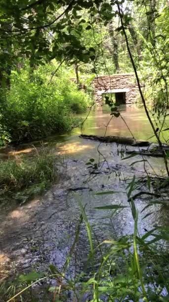 Agua Que Fluye Con Puente Hormigón Clip Vertical Constante — Vídeos de Stock