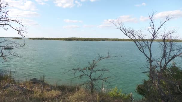 前景にはチラシの木がある美しい湖の広い安定したショット — ストック動画