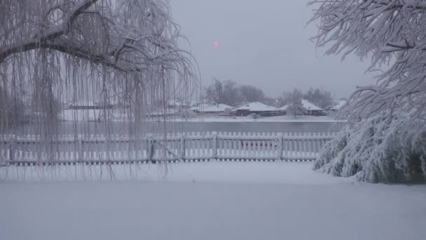 Vista Tranquilla Cortile Stagno Tutto Coperto Neve Una Mattina Inverno — Video Stock