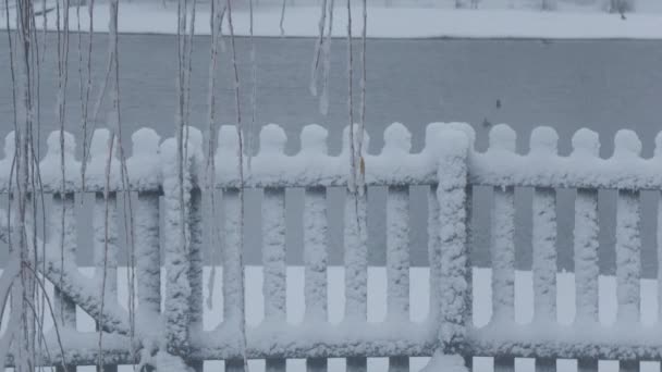 靠近湖面的一个被雪完全覆盖的木制栅栏的稳定镜头 — 图库视频影像