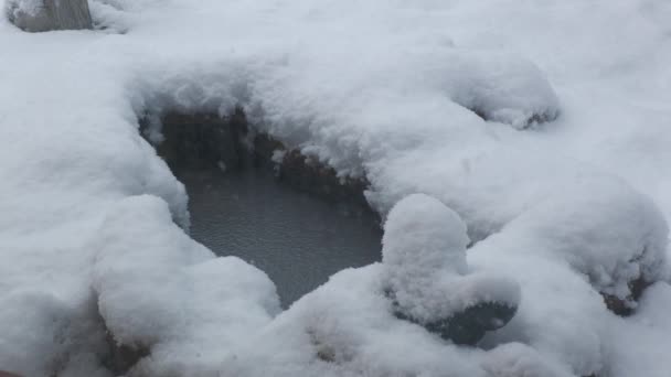在一个小鱼塘周围的地上堆满了厚厚的雪 — 图库视频影像