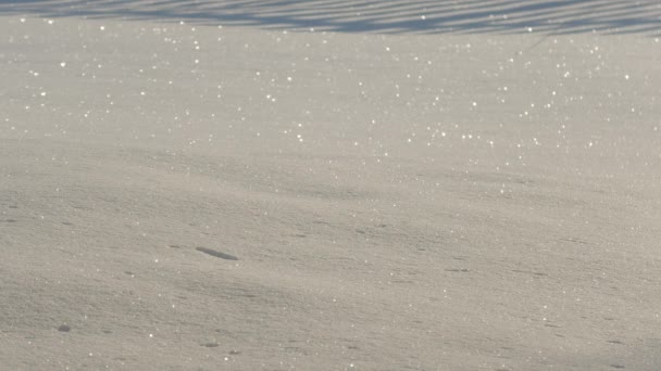 Disparo Constante Nieve Suavemente Caída Sobre Estanque Congelado — Vídeos de Stock