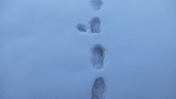 走在雪地上 在雪地上 一群靴子印朝着一个结冰的湖面走去 — 图库视频影像