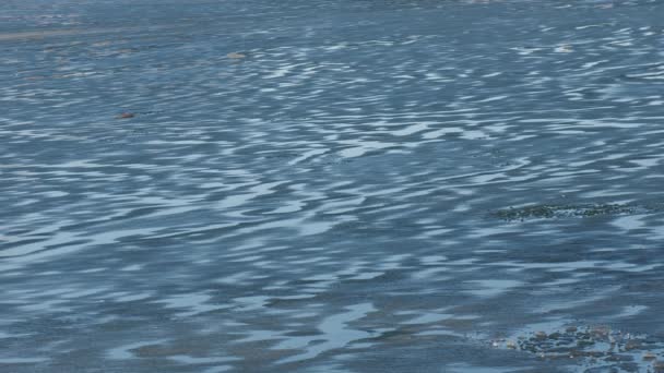 Tekstur Permukaan Danau Beku Mulai Mencair — Stok Video
