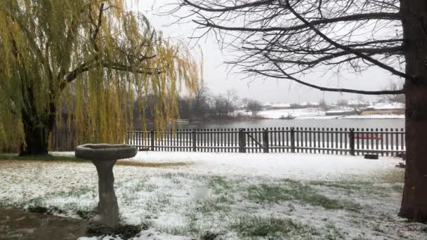 在一个靠近池塘的后院 小雪落在地上 — 图库视频影像