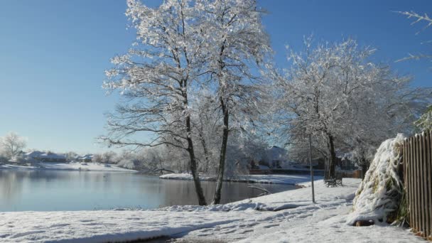 Vinter Morgon Scen Vid Sjön Med Smältande Snö Faller Från — Stockvideo