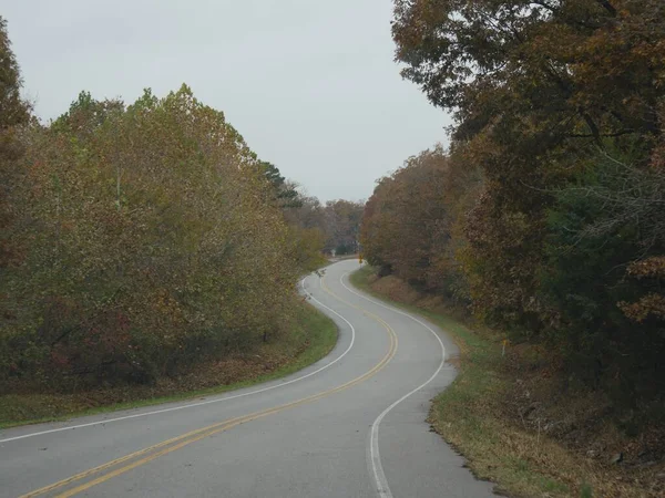 秋には色とりどりの木で曲がりくねった道 — ストック写真