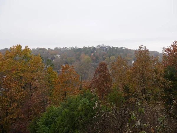 Őszi Színes Treetops — Stock Fotó