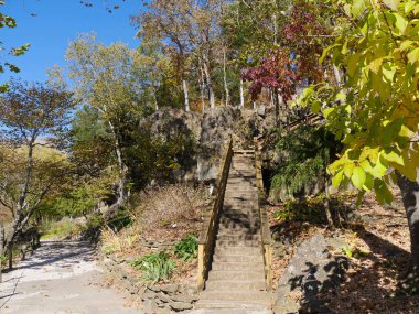 Sonbaharda renkli ağaçlarla dolu bahçedeki beton merdivenler