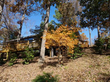 Sonbaharda ağaçlarla dolu ahşap balkon.