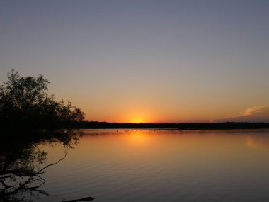 Gün batımı gölde yansıyor, geniş açılı, kıyıda genç bir ağaç var. 