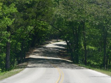 Yeşil ağaçların gölgelediği dolambaçlı bir yolun geniş görüntüsü. 