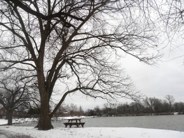 Karla kaplı bir kış günü Lakeside manzarası