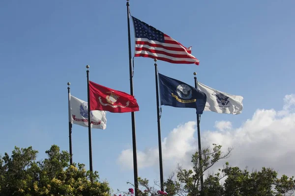 United States Flag Military Flags Flying Poles Treetops — Stock Photo, Image