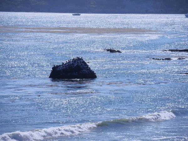 Вид Пляж Катящимися Маленькими Волнами Сидящими Скале Птицами — стоковое фото