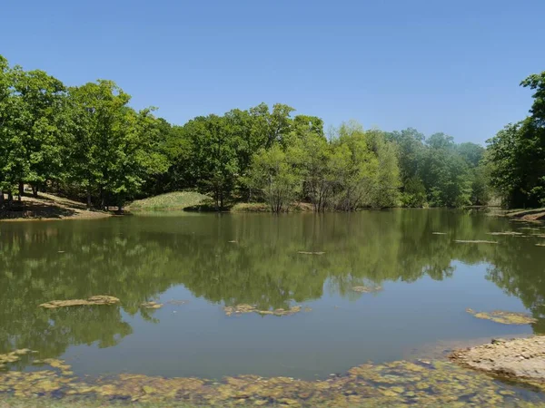 Reflexões Árvores Nas Águas Lago Tiro Largo — Fotografia de Stock