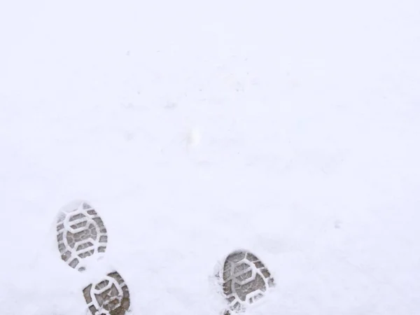 Grandes Huellas Zapatos Nieve Blanca Prístina — Foto de Stock