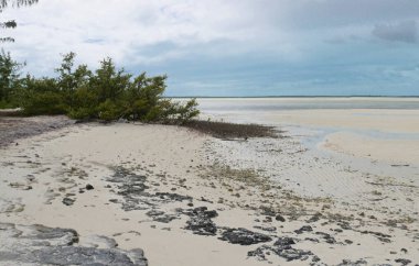 Exuma Point Plajı, Exuma Cays, Bahamalar 'daki en iyi plajlardan biri..