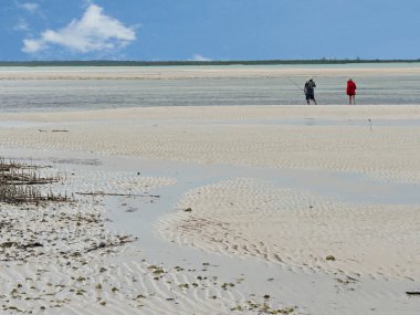 Exuma Point Sahili 'nde sular çekildiğinde, tanınmayan bir çift balık tutuyor..