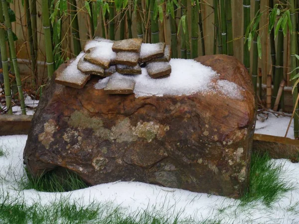 Велика Скеля Саду Оточена Свіжим Снігом Землі — стокове фото