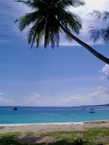 Praia Bonita Com Coqueiro Sobre Águas Azuis Davao Oriental Filipinas — Fotografia de Stock