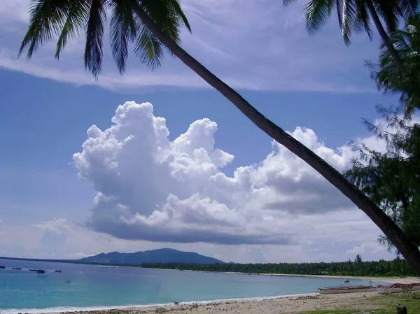 Vita Underbara Moln Över Vattnet Tropisk Strand Med Ett Kokosnötsträd — Stockfoto