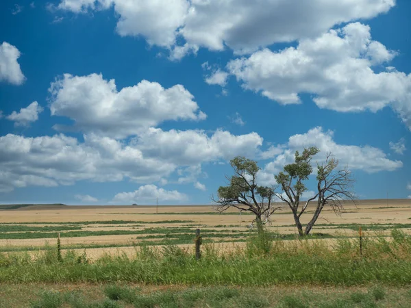 Południowa Dakota Krajobraz Dwoma Młodymi Drzewami Wzdłuż Roa — Zdjęcie stockowe