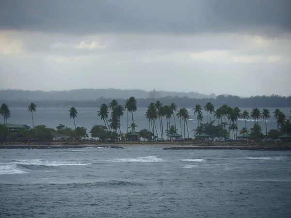 San Juan Puerto Rico Enero 2017 Isla Lejana Con Cocoteros — Foto de Stock