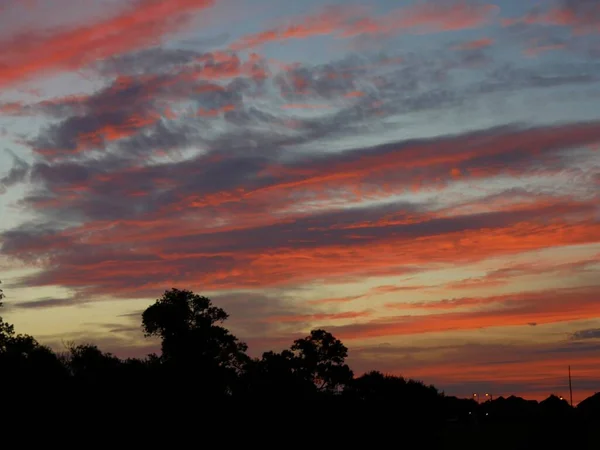Ogniste Smugi Chmur Wschodzie Słońca Sylwetkami Wierzchołków Drzew — Zdjęcie stockowe