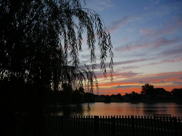 Tranquilidad Lago Amanecer Con Siluetas Sauce — Foto de Stock