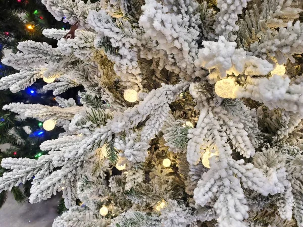Χριστουγεννιάτικο Δέντρο Από Κλαδιά Πεύκου Καλυμμένα Χιόνι — Φωτογραφία Αρχείου