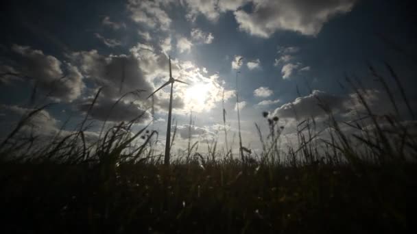 Větrná turbína a trávy — Stock video
