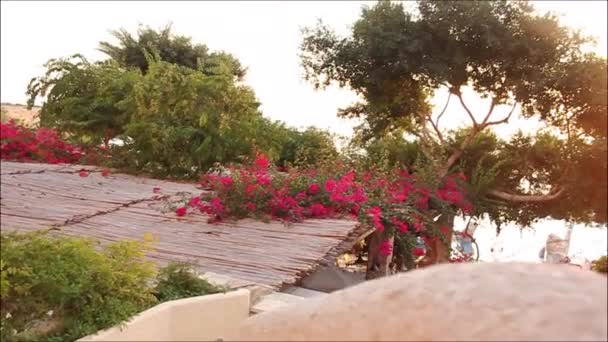 Underbar utsikt från hotellet balkong — Stockvideo