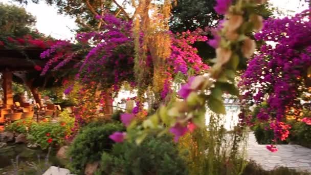 Hermoso patio del hotel — Vídeos de Stock