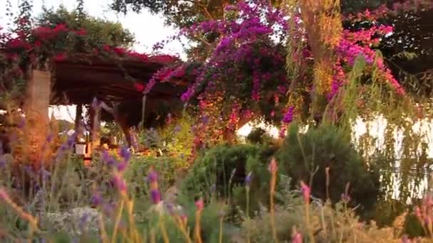 Luxurious hotel courtyard at sunset — Stock Video