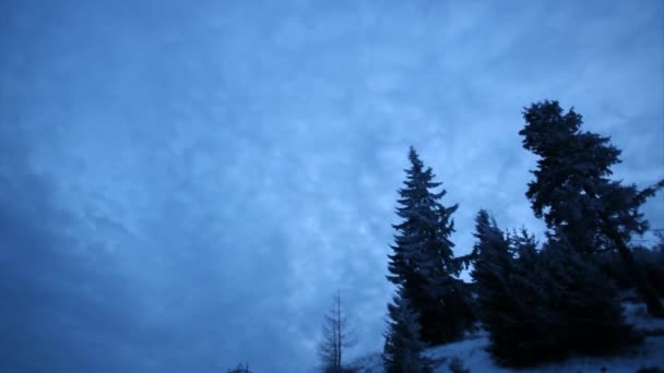 Winter sky with coulds dramatic timelapse with snowed fir trees — Stock Video