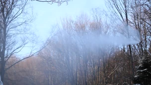 Schneekanone mit Wald im Hintergrund - Zeitraffer im Nebel — Stockvideo