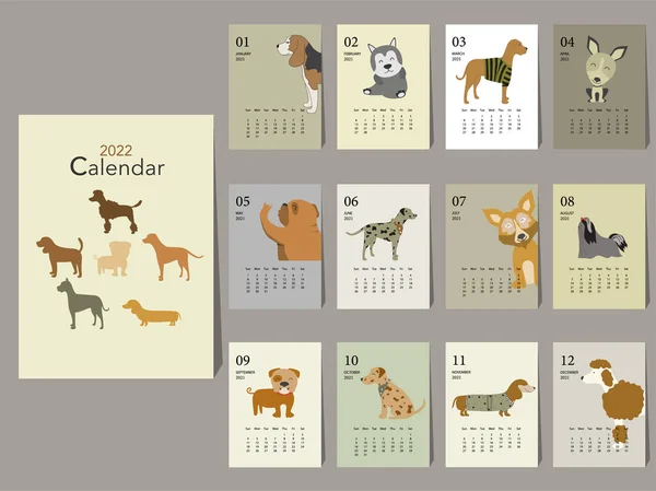 Cute Zwierząt Kalendarz 2022 Projekt Rok Rasy Pies Miesięczne Karty — Wektor stockowy