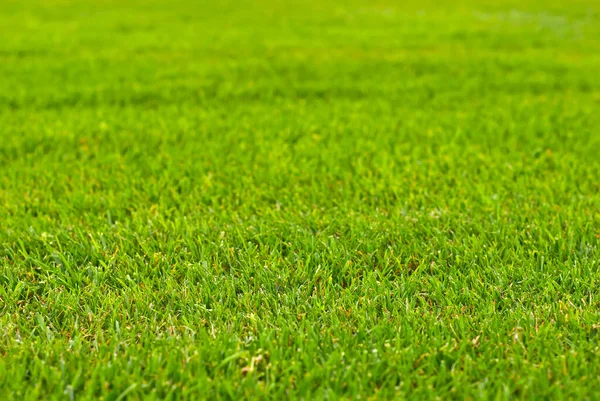 Futbol Sahası Dokusu Yakın Stadyumda Var Spor Sahaları Için Iyi — Stok fotoğraf