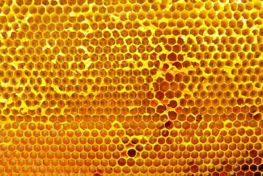 Bal peteklerinin dokusu yakınlaşıyor. Kovandan sarı balmumu petekler.