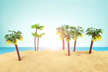 Cennet adasında minyatür palmiye ağaçları. Kumsalın manzarası, kumsalda palmiye ağaçları var. Arka planda mavi gökyüzü. Dinlenme ve seyahat konsepti.