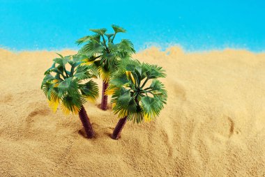 Cennet adasında minyatür palmiye ağaçları. Kumsalın manzarası, kumsalda palmiye ağaçları var. Arka planda mavi gökyüzü. Dinlenme ve seyahat konsepti.