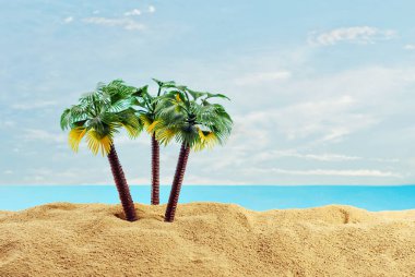 Cennet adasında minyatür palmiye ağaçları. Kumsalın manzarası, kumsalda palmiye ağaçları var. Arka planda mavi gökyüzü. Dinlenme ve seyahat konsepti.