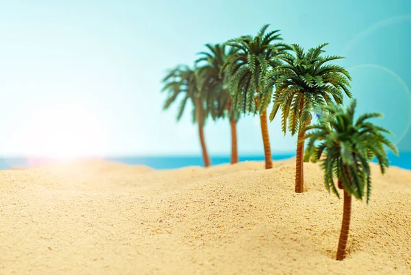 Cennet adasında minyatür palmiye ağaçları. Kumsalın manzarası, kumsalda palmiye ağaçları var. Arka planda mavi gökyüzü. Dinlenme ve seyahat konsepti.