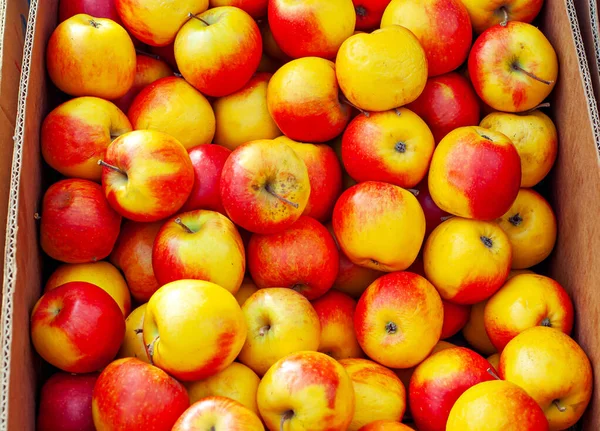 Viele Rote Und Gelbe Äpfel Einer Schachtel Textur Von Runden — Stockfoto