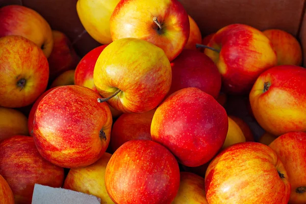 Viele Rote Und Gelbe Äpfel Einer Schachtel Textur Von Runden — Stockfoto